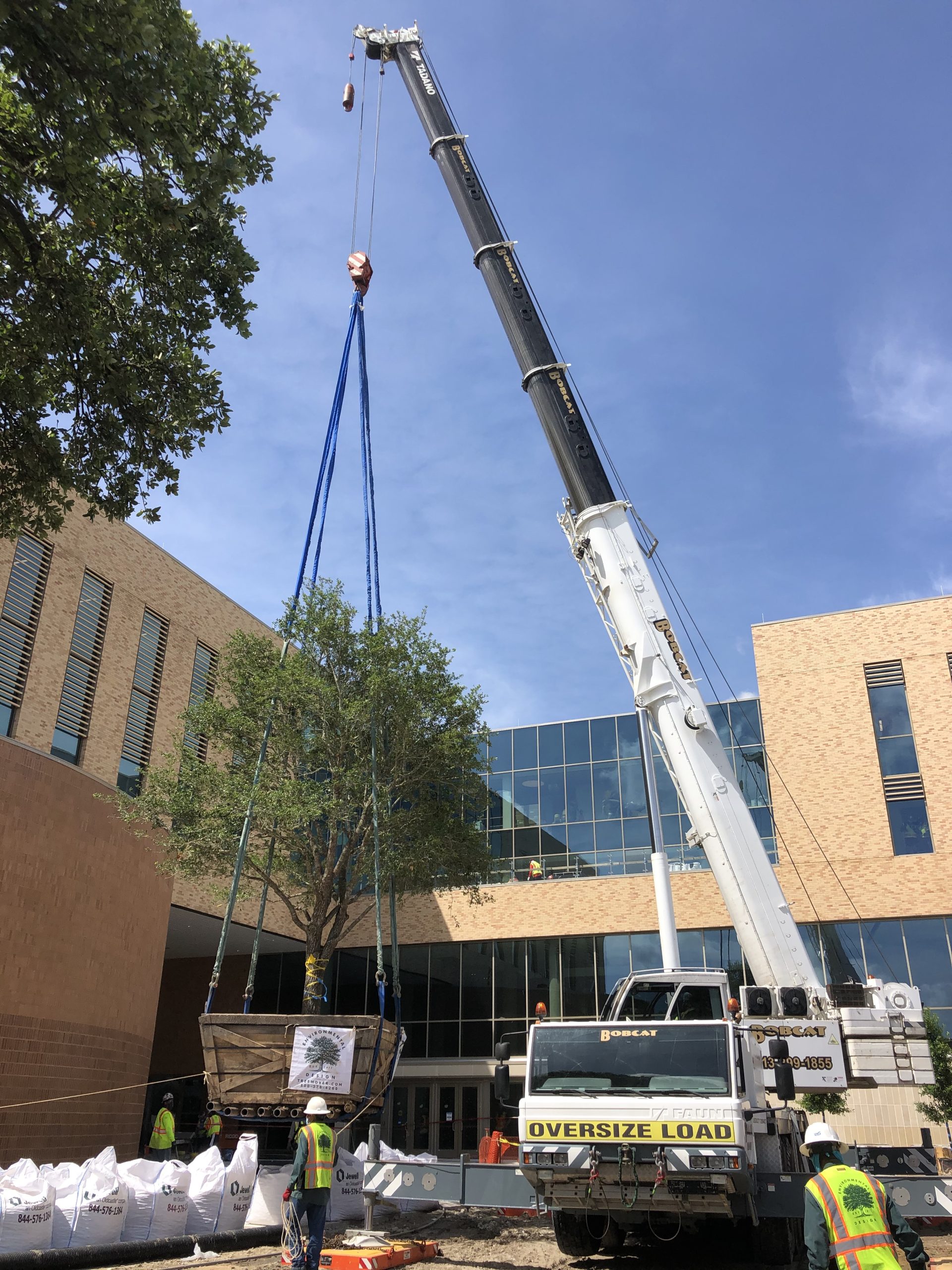 Crane Services in Houston